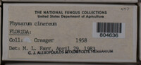 Image Associated With the Occurence